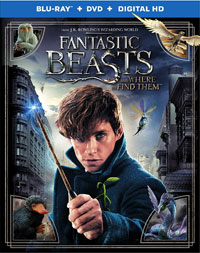 Fantastic Beasts and Where To Find Them