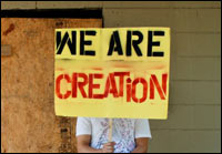 We Are Creation