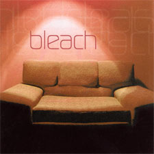 Bleach, 'Bleach'