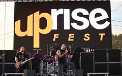 Disciple