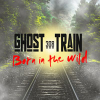 308 Ghost Train