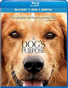 A Dog's Purpose