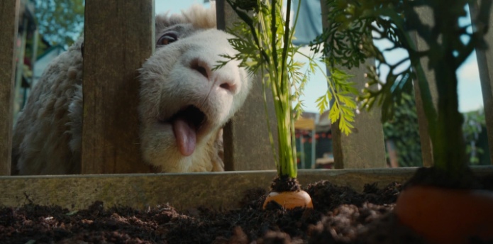 The Sheep Detectives