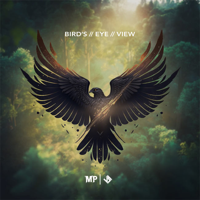 Jacob Stanifer and Matthew Parker Team Up To Release 'Bird's Eye View'