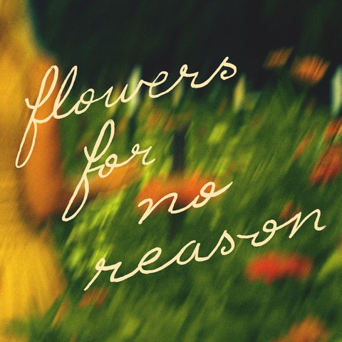 Ellie Holcomb Releases New Song 'Flowers for No Reason'